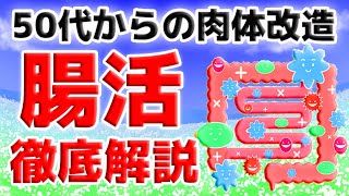 【50代からの肉体改造】腸内環境を整える方法～健康な人生の最低条件～