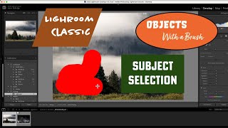 Lightroom Tutorial on Subject Selection Using the Object Tool