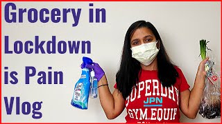 Grocery in Lockdown | Shopping in Quarantine | Shopping during Coronavirus Vlog