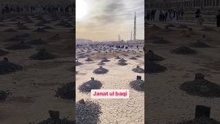 Aey Kash Madine Me Mujhe Maut Yun Aaye 😍🌹🕌🕋 || jannatul baqi status #viral #shorts #jannatulbaqi