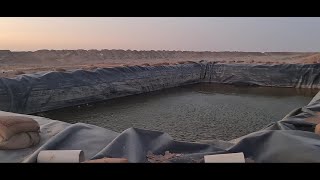 Checking the freshwater retention pond at Khazaine's Gold Processing Plant in Sfariyat, Mauritania.