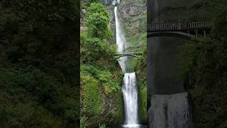 Multnomah Falls! Tallest in the state at over 600ft! #nature #oregon #waterfall #outdoors #roadtrip