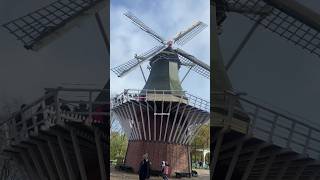 Ancient windmills in NL🇳🇱......#windmill #zaanseschans #netherlands🇳🇱 #windmills #travelwithme