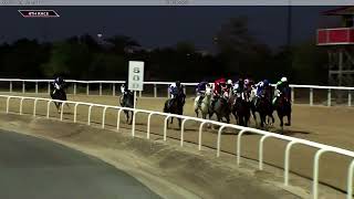 Al Ain 03 03 24 Race 4