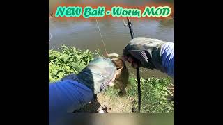 Monday NEW Bait - Worm MOD #shorts #fishing #bass #bassfishing #fishinglife