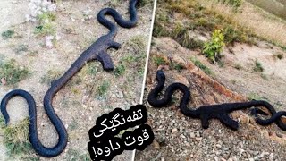 سەیرترین ئەو شتانەی کە مارەکان قوتیان داوە..! باوەڕ بەچاوت ناکەیت