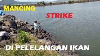 KETIKA MANCING DAPAT IKAN, HEBOH!!! UJUNG - MUNCAR BANYUWANGI