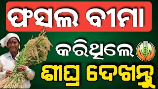 Pradhan mantri fasal bima yojana || ଫସଲ ବୀମା କରିଥିଲେ ଶୀଘ୍ର ଦେଖନ୍ତୁ #pmfby #pmfby4farmers