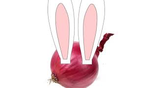 Onion wishes you a happy Easter :)