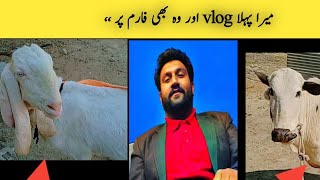 |First vlog video introduction|Vlogs pakistani|Daily Vlogs