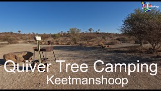 Quiver Tree Camp Keetmanshoop