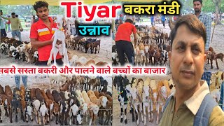 Tiyar Bakra mandi Unnao |Tiyar Bakra Mandi 2024 |Tiyer Bakra Mandi New Video |Bakra Mandi Unnao