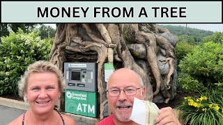 Can you get money out of a Tree? We did!