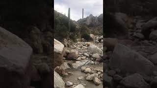 Hiking mountain run off stream near Tucson Arizona. Saguaro Cactus all around.