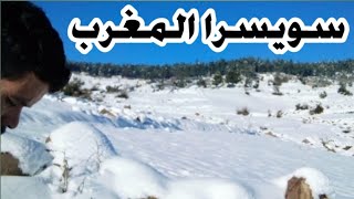 بلادي يا زينة البلدان شوف جمال الطبيعة