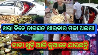 ଆଜି ହେଲା ଘରେ ତାଳସଜ ପାର୍ଟି//ଦାଦା ଖୁଡ଼ି ଆଜି କୁଆଡେ ବାହାରିଲେ//@rajlinvlogs