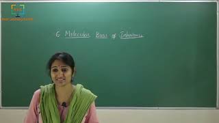 Class 12, Biology Chapter 6 - Molecular Basis of Inheritance, class 1