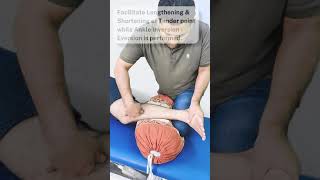 PERONEUS TENDONITIS PAIN RELIEF BY FUNCTIONAL RELEASE TECHNIQUE.