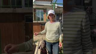 К чему вернулись#short #shortvideo #bulgaria