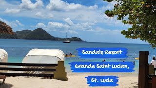 Live! From the Sandals resort in Saint Lucia the Grande Saint Lucian #resort #sandals #shortvideo