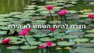 נוצרנו להיות השמש ולא הירח