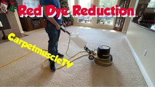 Reduce Red Dye on Paper white carpet. Carpet clean and scrub. VLM