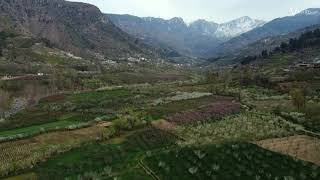 The breathtaking beauty of Swat Valley in full bloom! || Swat valley || Vguide Tour #spring #swat