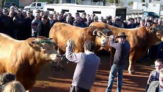 Feira Anual Srª das Candeias 2018 Landim V.N. Famalicão