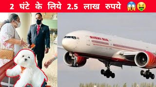 Dog Owner Spent 2.5 Lakh For Her Dog In Air India Flight | Air India