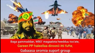 #Baga_gammaddan! WBO'n Magaalota heedduu too'ate, injifannoon itti fufe, haleellaa dironi pp #oromo