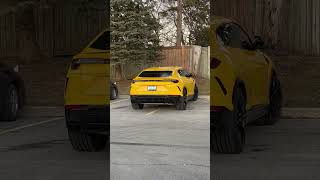 Lamborghini urus owner has Trust issues