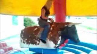 Biene versucht Bullriding