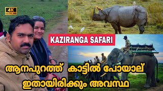 Kaziranga National Park - Assam India Full Guided Video - Elephant Safari All India Trip Tata Nano