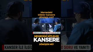 Kanser tedavisinde evcil hayvan beslenebilir mi? Memedeki kitleler kansere dönüşür mü?