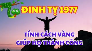 5 Tính Cách Vàng Giúp Người Tuổi Đinh Tỵ 1977 Thành Công Rực Rỡ