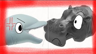 Hippo Puppet Say Yeah And Dolphin Puppet Say Scream (Animation)