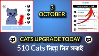 3 October upgrade cats | cat photo upload | cat avatar today