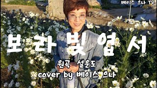 보라빛 엽서 (원곡 설운도)  cover by 베이스 으나