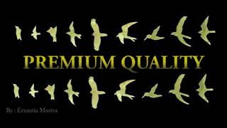 Suara Panggil Burung Walet Jernih PREMIUM QUALITY 2023