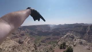 Goodwater Rim MTB Trail “The Wedge Overlook”