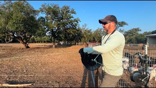 Rotating Pastures and Saturday Chores