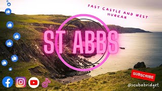 UK SCUBA DIVING | ST ABBS | BERWICKSHIRE MARINE RESERVE | BSAC DIVERS | DOLPHINS | SCOTLAND