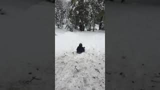 Sledding 3