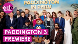 WATCH: 'Paddington in Peru' Cast Grace the Red Carpet in London