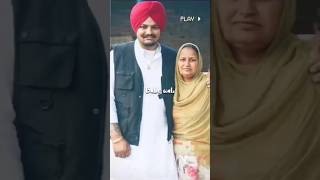 🥰❣️🥰❣️🥰 #sidhumoosewala #sidhumoosewalastatus #viral #viralshort #viralshorts #viralvideo #viral