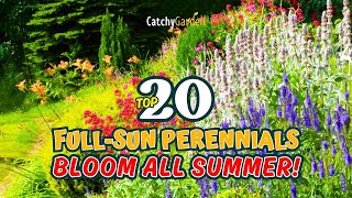 TOP 20 FULL-SUN PERENNIALS that BLOOM ALL SUMMER! 🌼🌞🌻 // Gardening Ideas