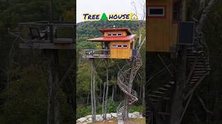 Tree house #shorts #trending