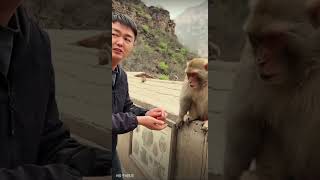 Playing with monkeys in China لعبة حزر فزر مع قرد في الصين