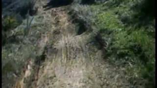 Pirongia MX Track