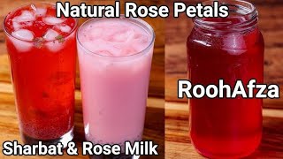 Ultimate Rose Water Sharbat Recipe: Refreshing Elixir for Your Taste Buds!" #Ramadan